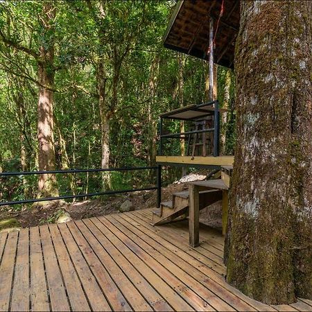 Unicorn Lodge: Direct Riverfront : Unique Experience Сан-Херардо-де-Дота Екстер'єр фото