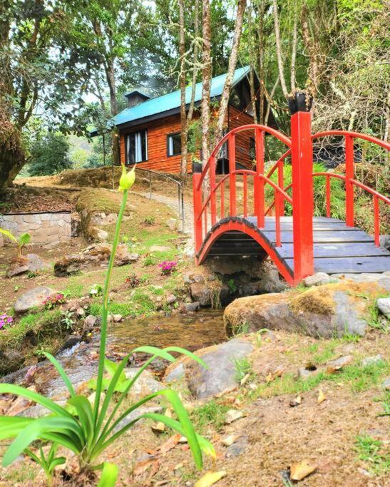 Unicorn Lodge: Direct Riverfront : Unique Experience Сан-Херардо-де-Дота Екстер'єр фото