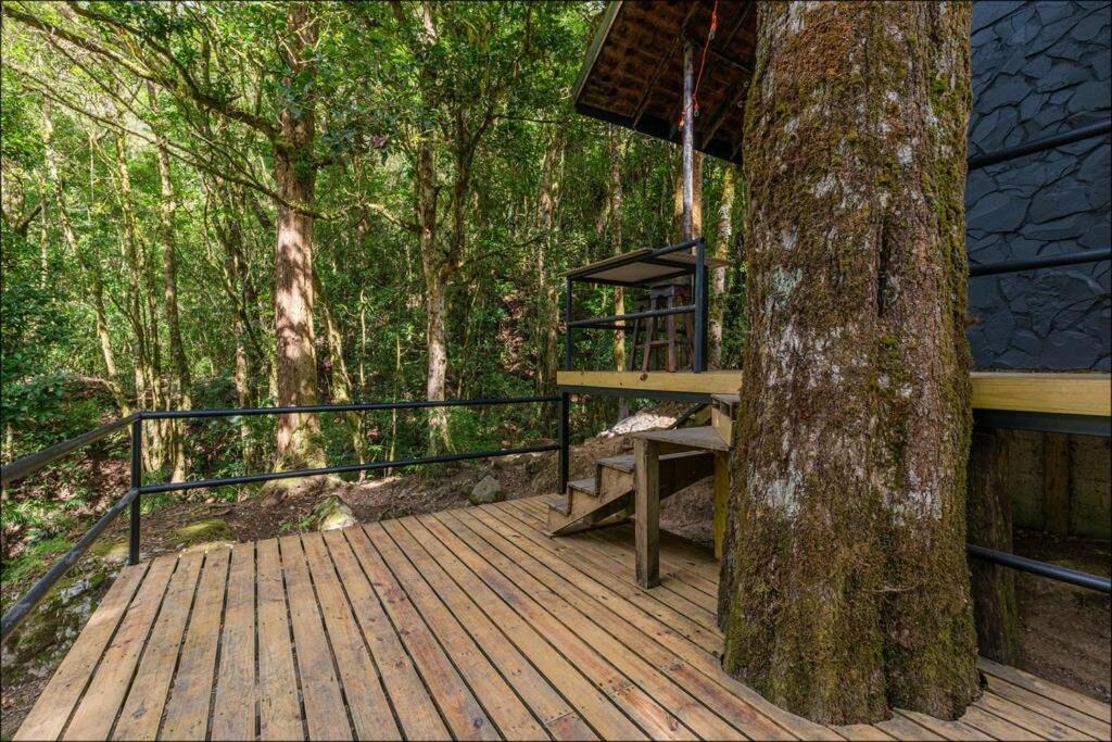 Unicorn Lodge: Direct Riverfront : Unique Experience Сан-Херардо-де-Дота Екстер'єр фото