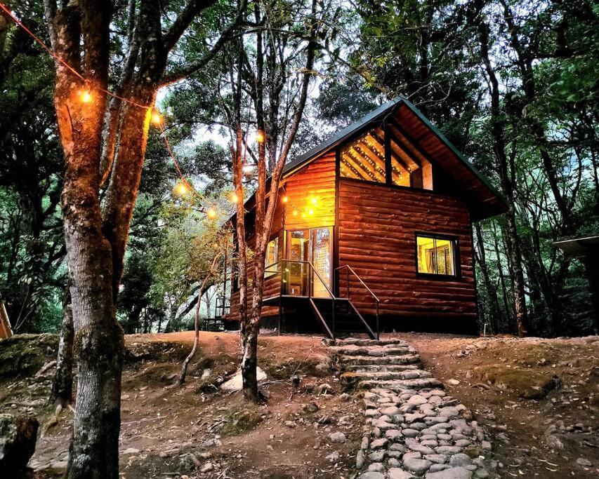 Unicorn Lodge: Direct Riverfront : Unique Experience Сан-Херардо-де-Дота Екстер'єр фото