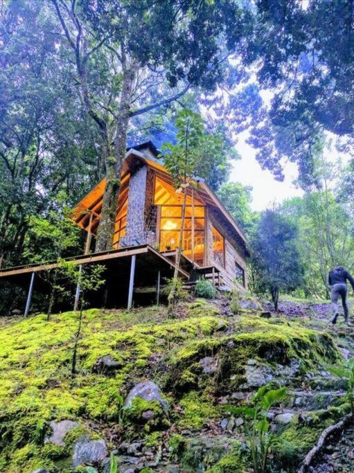 Unicorn Lodge: Direct Riverfront : Unique Experience Сан-Херардо-де-Дота Екстер'єр фото