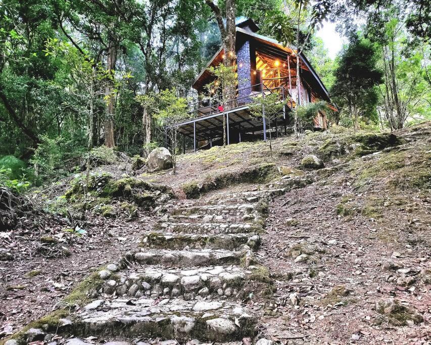 Unicorn Lodge: Direct Riverfront : Unique Experience Сан-Херардо-де-Дота Екстер'єр фото