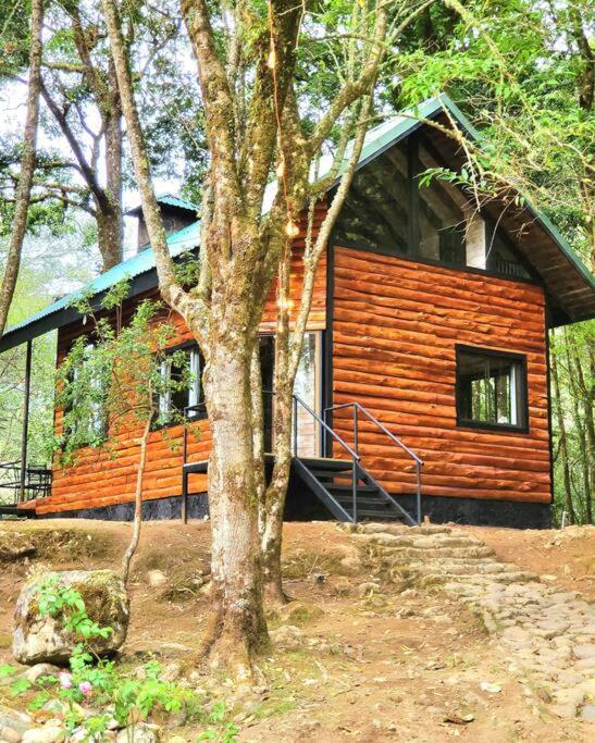 Unicorn Lodge: Direct Riverfront : Unique Experience Сан-Херардо-де-Дота Екстер'єр фото